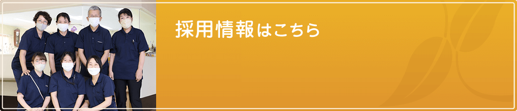 採用情報はこちら